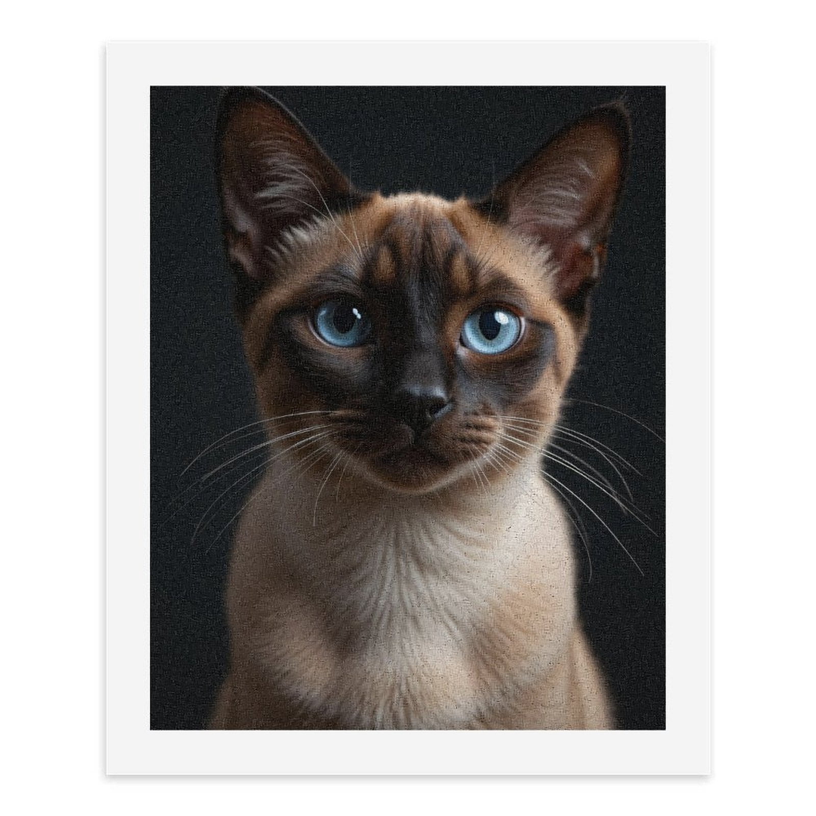 Paint by Numbers Kit for Adults, Blue Eyed Siamese Cat Portrait Paint by Numbers, Easy Paint by Numbers Kit for Adults Beginner, DIY Adult Paint by Number Kits on Canvas, Home Decor