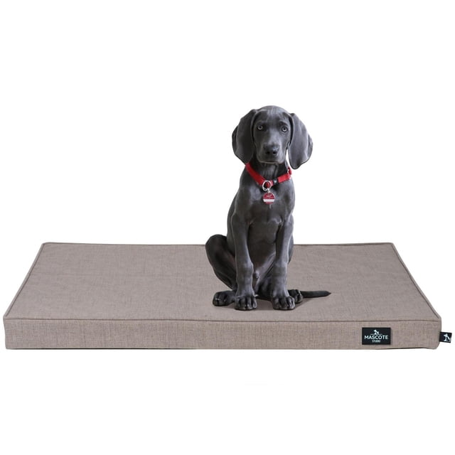 Cama Ortopédica Mascote Studio Bobo para Perro