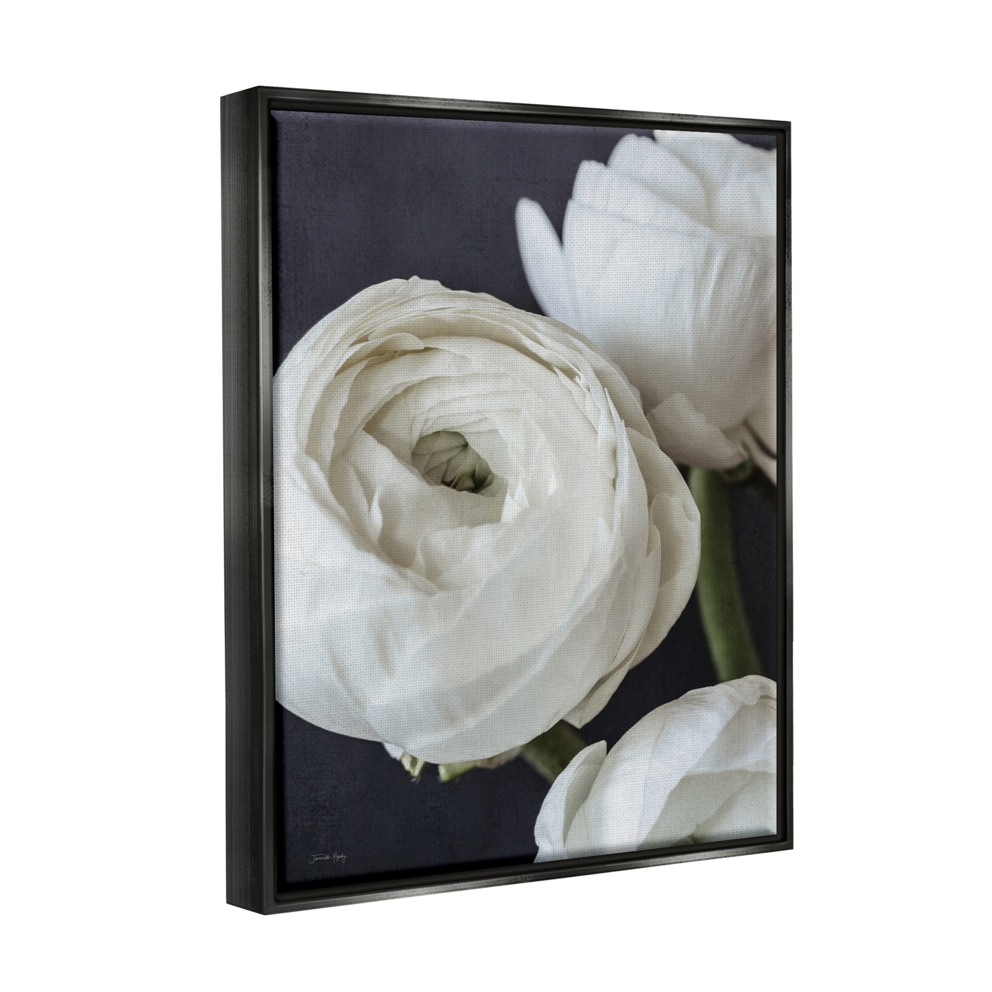 Stupell Industries Budding Ranunculus Flower Blooming Close Up Petals Photograph Jet Black Floating Framed Canvas Print Wall Art, Design by Jennifer Rigsby
