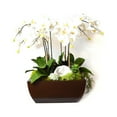 thumbnail image 2 of T&C Floral Company 21 x 29 in. Orchid And Geode In Metal Box - Large, White, 2 of 2