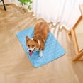 thumbnail image 6 of Pet Cooling Mat Ice Silk Sleeping Pad Soft Washable Pet Bed Cushion for Dogs Cats Indoor Outdoor Use, 6 of 7