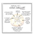 thumbnail image 4 of Stupell Industries Informative Sand Dollar Learning Chart Nautical Education Graphic Art White Framed Art Print Wall Art, Design by Dishique, 4 of 5