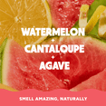 thumbnail image 4 of Jukebox Womens Natural Body Moisturizer Lotion, Hand & Body Lotion for Women, Watermelon Rush, 8 fl Oz, 4 of 9