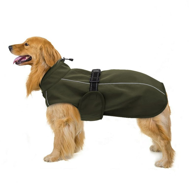 Walmart dog coats top