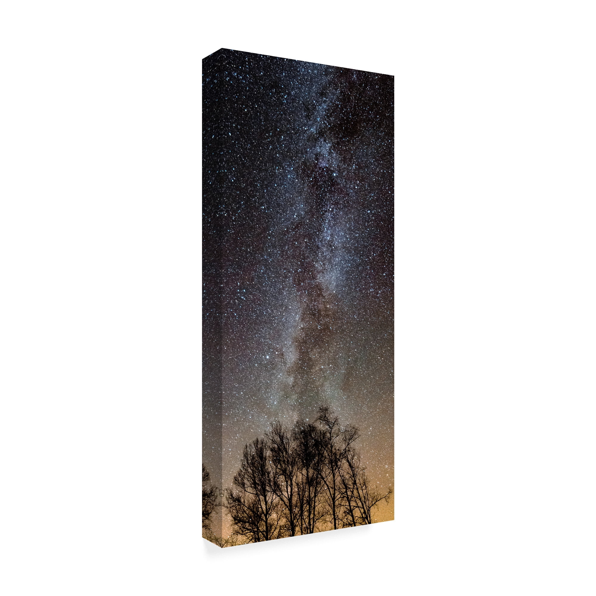Trademark Fine Art 'Touching The Stars' Canvas Art by Brenda Petrella Photography Llc