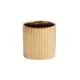 thumbnail image 2 of Wosthever Maceta de cerámica a rayas de estilo nórdico, maceta, contenedor de plantas verdes, para bonsái, oficina, jardín, regalos Jardín y Patio Oro 10*10cm Wosthever HA084137-05, 2 of 6