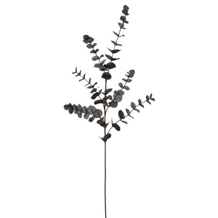 12 Pack: Black Eucalyptus Spray by Ashland