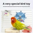 thumbnail image 3 of Parrot Chew Toy, 3.12 inch, Plastic, Relieves Pet Anxiety and Boredom, Interactive Rotating Decompression Toy for Bird Cages, 3 of 8