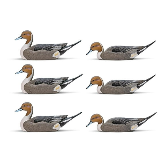 Rig Em Right Mainline Series Pintail Duck Decoys, 6 Pack