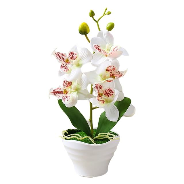 Artificial Phalaenopsis Fake Bonsai Potted Plant Flower Orchid Floral Home Decor