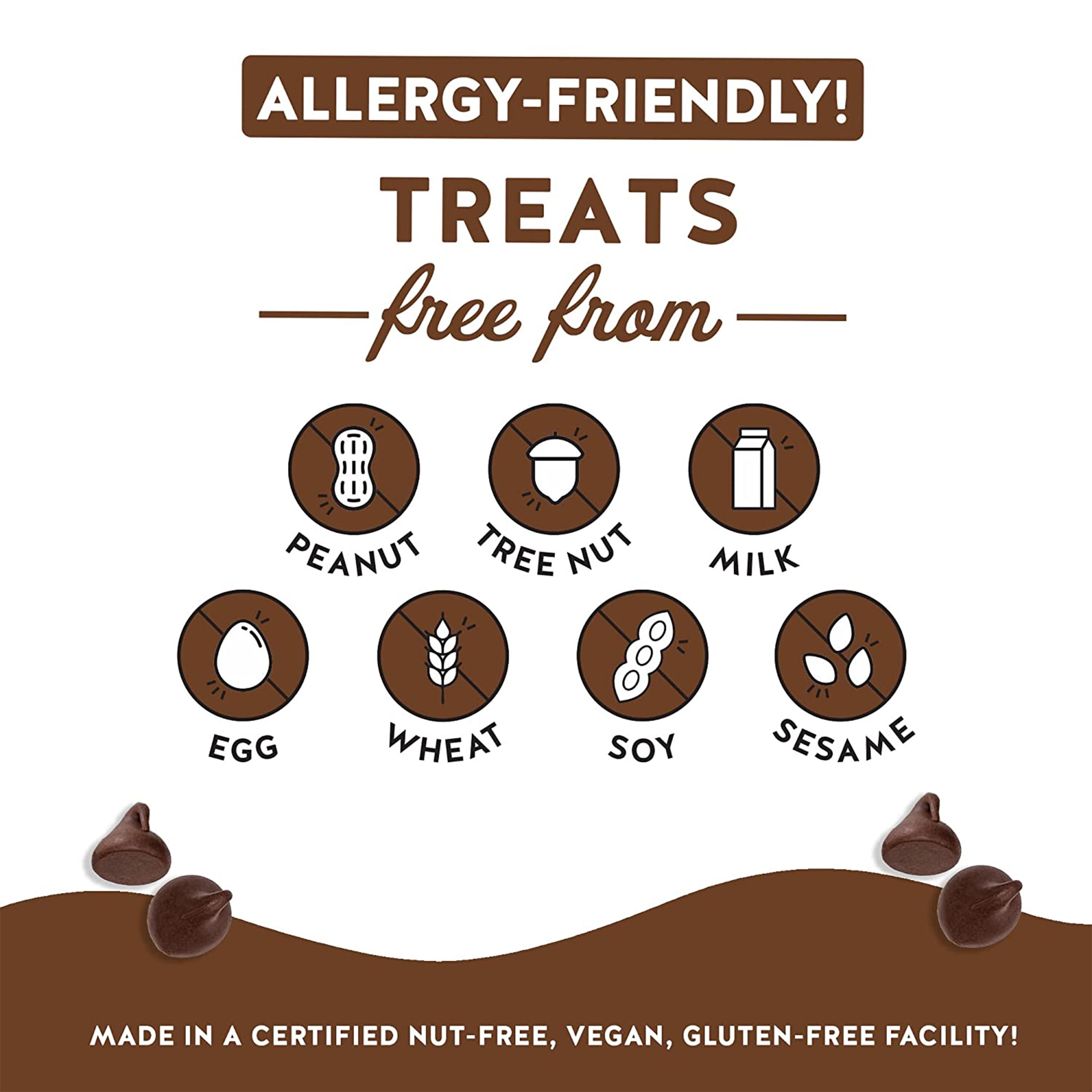 Blake’s Seed Based Crispy Treats — Chocolate Chip 6ct, Top 9 Allergen Free