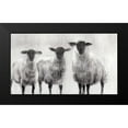 thumbnail image 2 of Harper, Ethan 18x12 Black Modern Framed Museum Art Print Titled - Rustic Sheep I, 2 of 5