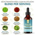 thumbnail image 3 of Moringa SugarBalance Support Extract – Multi-Herb Botanical Drops with Berberine, Cinnamon, Fenugreek, Bitter Melon & Gymnema | 650 MG Herbal Blend for Healthy Sugar Metabolism Support, 3 of 7