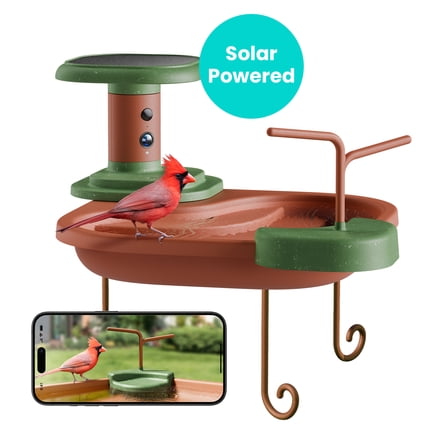Birdfy Smart Bird Bath with Camera Solar Powered, AI Identify, Live View, Instant Notify, Ideal Gift for Bird Lovers