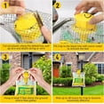 thumbnail image 2 of Gaway Fly Traps Outdoor Fly Trap Hanging, Disposable Fly Killer Trap Bag Catcher for Outside Farms, Fly Trap Bag Fly Catchers Outdoors, Effective Fly Traps Outdoor Hanging Fly Killer, 6 Pack, 2 of 7