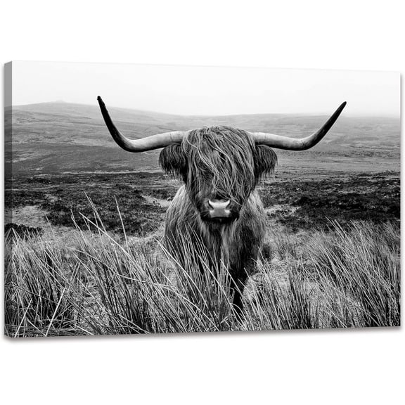 WFSposter Highland Cow Wall Art Black and White Animal Wall Decor Canvas Cow Picture Highland Cow Prints Paintings Framed for Living Room Bathroom (12x16 inch)