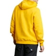 thumbnail image 2 of Russell Athletic Men's Dri-Power Iconic Arch Graphic Fleece Hoodie, 2 of 2