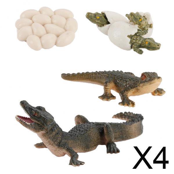 4xSimulación Del Ciclo De Vida Natural Del Crecimiento De Un Caimán, Juguetes De Aprendizaje De Biología Para Niños
