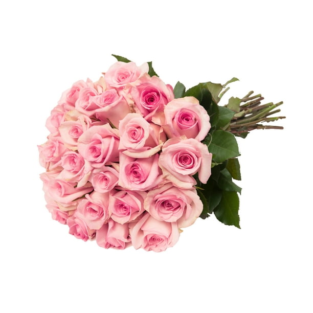 Pink Roses Gift 40 cm - Fresh Cut Flowers - 24 Stems - by Bloomingmore ...
