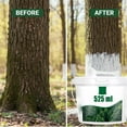 thumbnail image 5 of Long-Lasting Tree Whitewash Agent, Tree Whitewash Agent, 525ml Trees Trunk Paints, No Dilution Required, 5 of 7