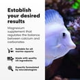 thumbnail image 3 of Acondicionador para Acuario Brightwell Aquatics Magnesion 2000 ml, 3 of 7
