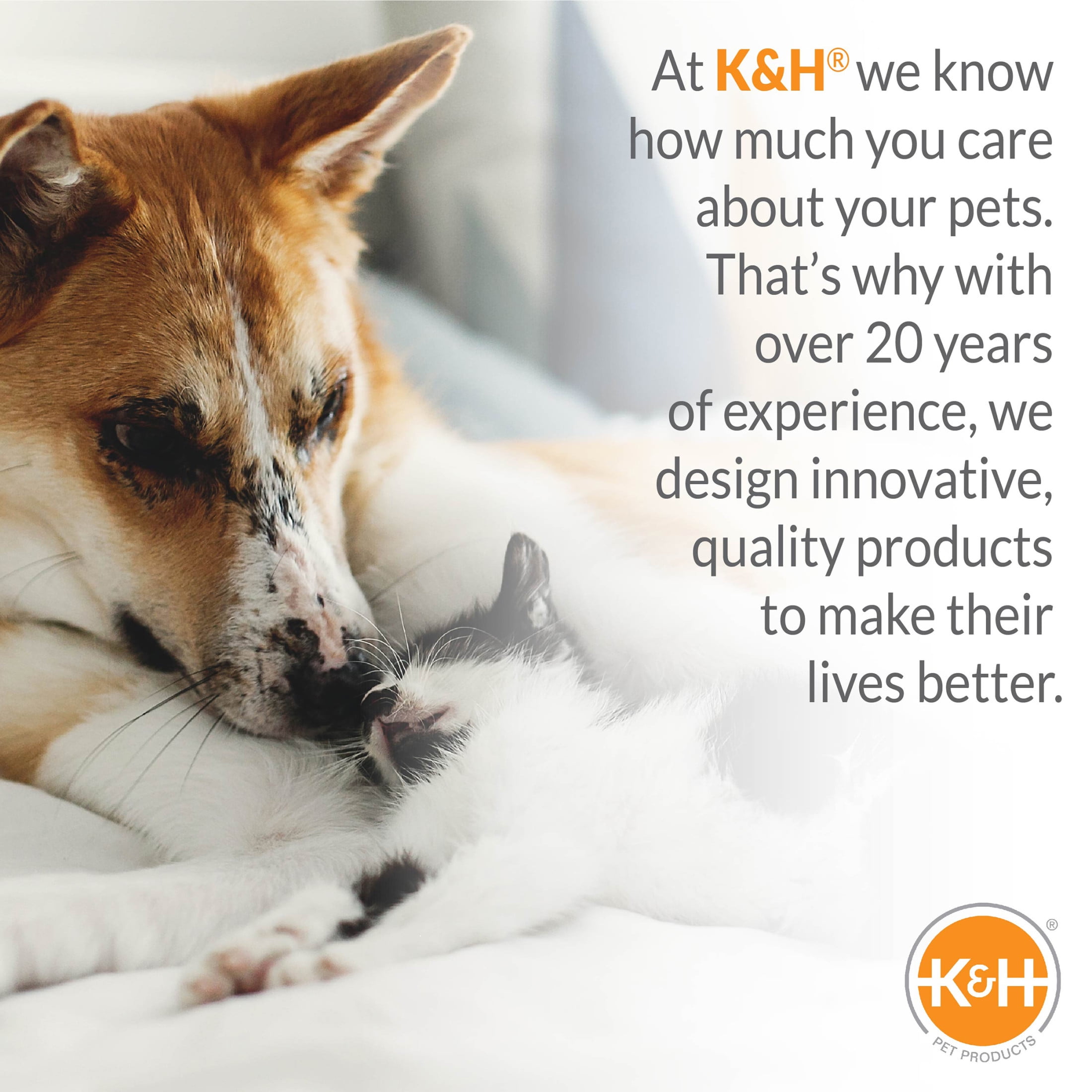 K&H Pet Products Original Pet Cot Elevated Dog Bed Gray/Black Mesh X-Large 50 X 32 X 9 Inches