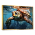 thumbnail image 2 of Designart "Blue Sea Turtle Explorer I" Animals Turtle Floater Framed Canvas Wall Art, 2 of 5