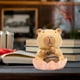 thumbnail image 5 of Mini figura de capibara decoración de mesa colección de estatuas de resina figura de capibara Estilo A, 5 of 7