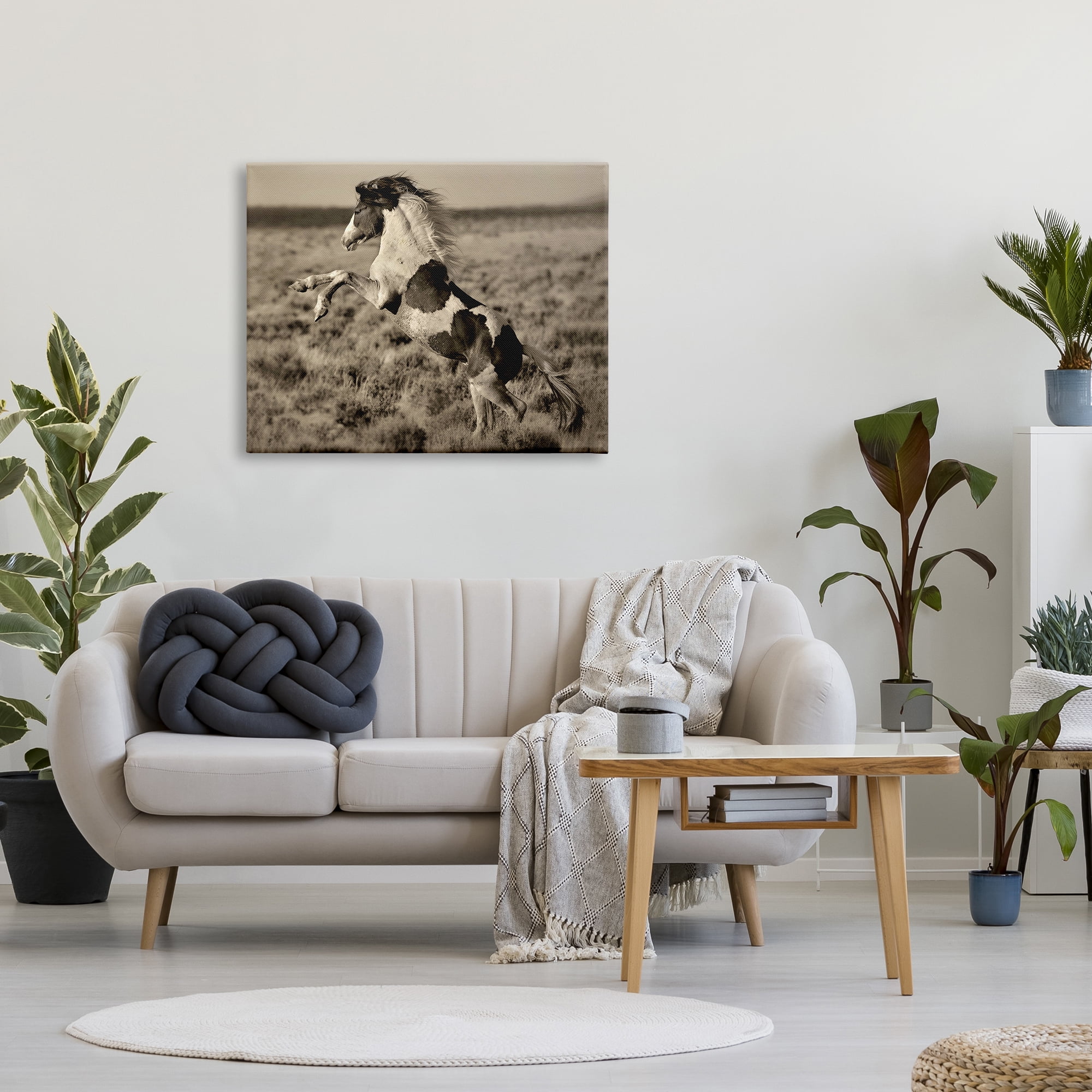 Stupell Industries Rearing Spotted Horse Rural Countryside Field Photography Photograph Gallery Wrapped Canvas Print Wall Art, Design by Lisa Dearing