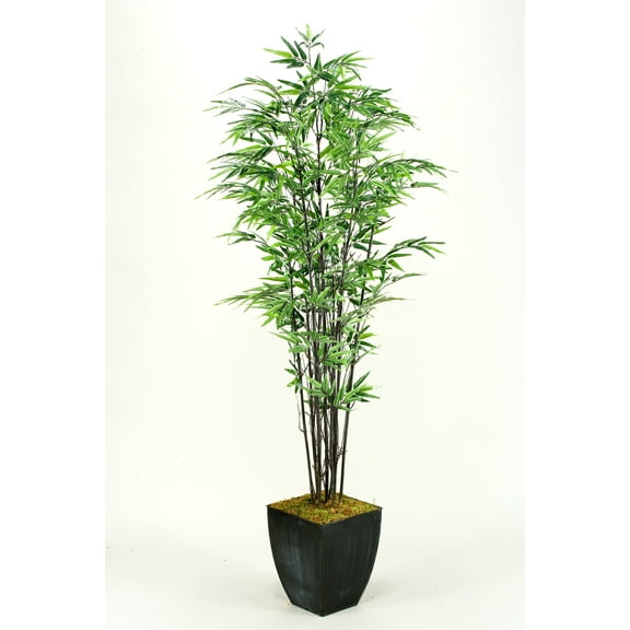 D&W Silks 7' Black Bamboo Tree in Square Metal Planter