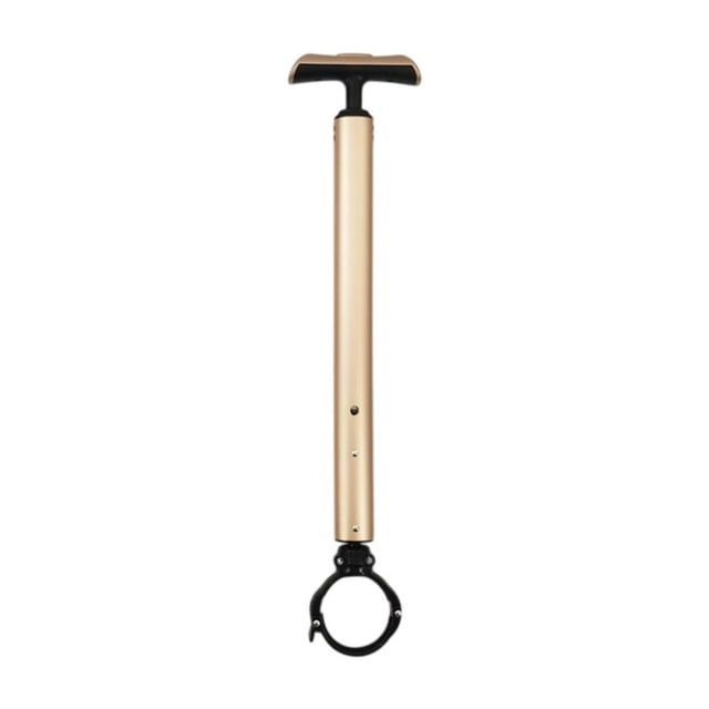 Poignée d'Extension pour Hoverboard SERENABLE, Accessoire de Guidon, Guidon de Trottinette, Accoudoir, Or