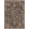 thumbnail image 2 of Addison Rugs Chantille Indoor/Outdoor Traditional Global Brown Machine Washable Rectangle Rug, 5' x 7'6", 2 of 8