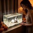 thumbnail image 5 of Dinosaur Skull Aquarium Decoration Fish Tank Decor Hideaway for Fish Natural Look Fun Underwater Environment Cave Ornament for Reptile Tank Terrarium, 5 of 7