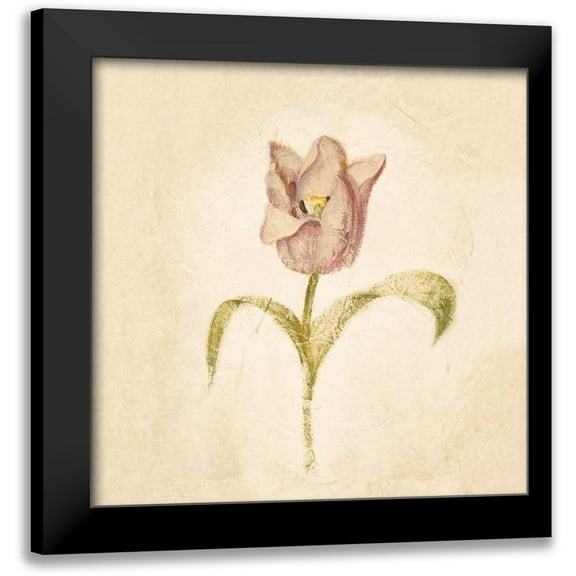 Blum, Cheri 12x12 Black Modern Framed Museum Art Print Titled - Blue Parrot Tulip on White Crop
