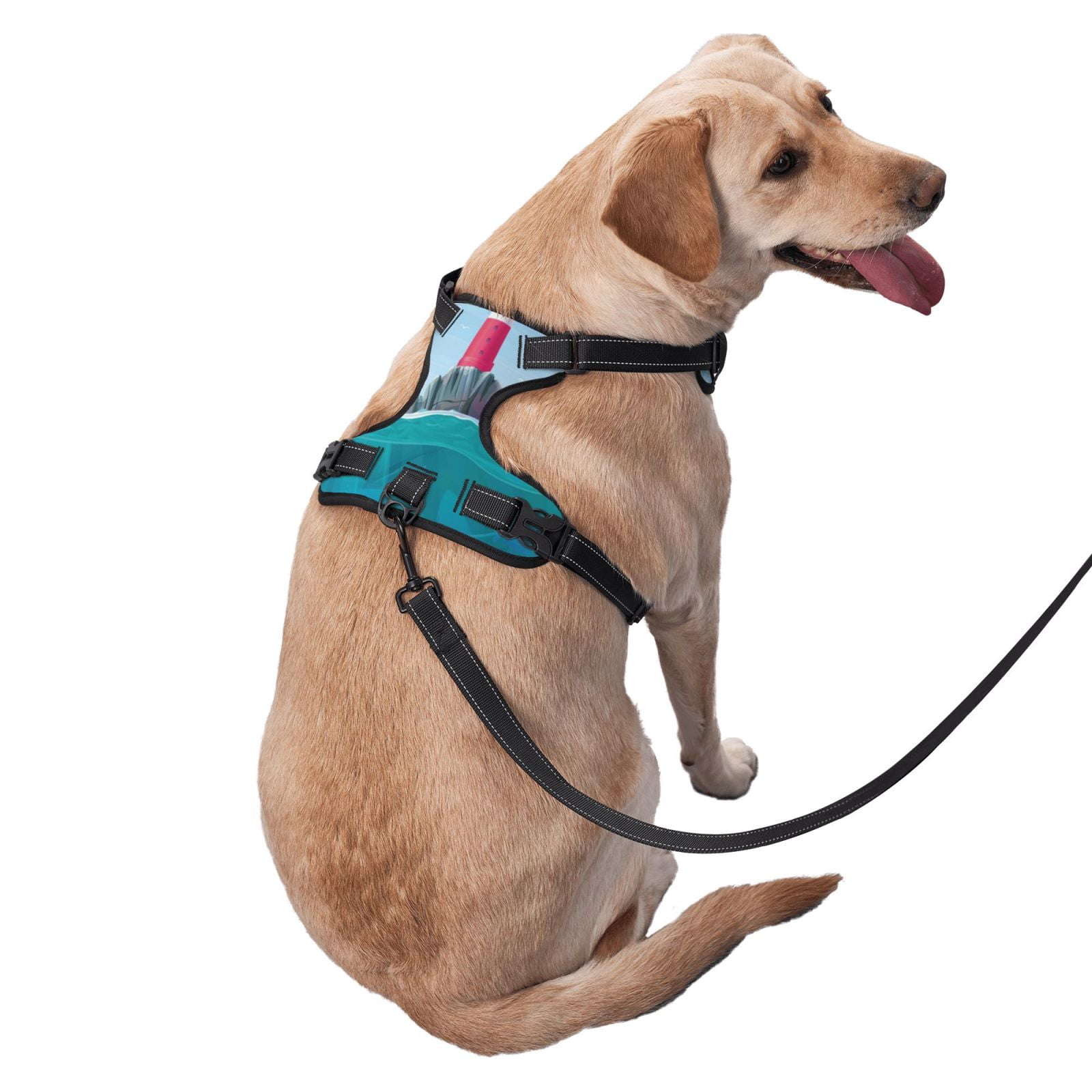 Vsdgher Lighthouse Sea Port Pattern Dog Harness,No Pull Pet Harness with Soft Padded Handle,Adjustable Reflective Vest with 2 Buckles,4 Slide Buckles,S-XL