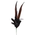 thumbnail image 1 of Midwest Design Imports 38723 28 in. Peacock & Pheasant Feather Stem - 4 Piece, 1 of 1