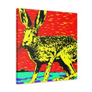 Jackrabbit Pop Art - Canvas
