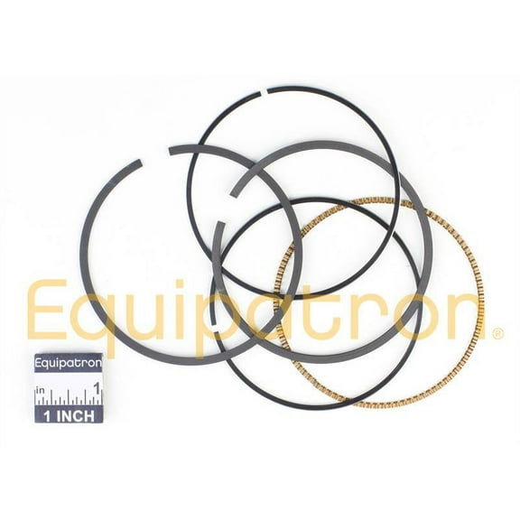 Briggs & Stratton Ring Set | 791787