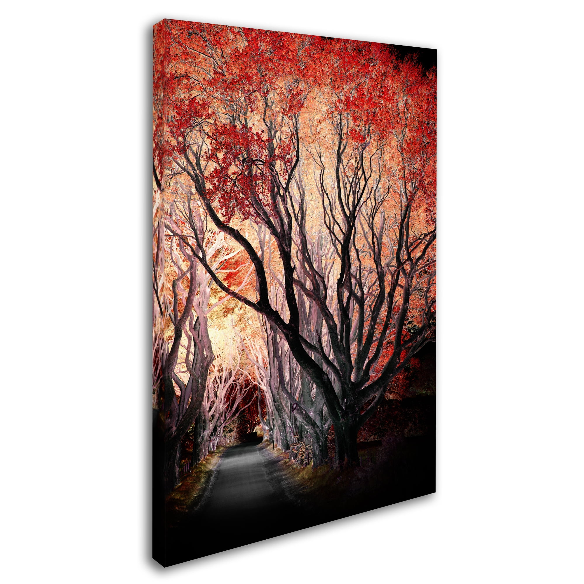 Trademark Fine Art "Powerful One" Canvas Art by Philippe Sainte-Laudy