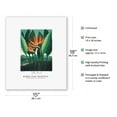 thumbnail image 2 of The Queen Flower (Bird of Paradise) - from the Temple of Flora - Vintage Botanical Illustration by Robert John Thornton c.1807 - Fine Art Rolled Canvas Print 11in x 14in, 2 of 4