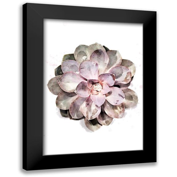 Artographie Studio 11x14 Black Modern Framed Museum Art Print Titled - Succulent Plant 01