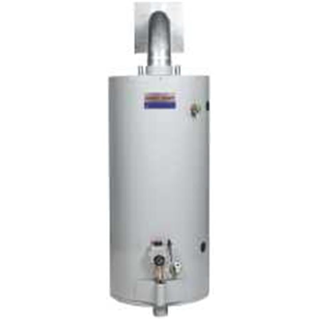 PREMIER PLUS 50 GALLON DIRECT VENT NATURAL GAS WATER HEATER