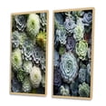 thumbnail image 3 of Designart "Green Succulents Flowers peaceful Succulents II" Succulent Framed Wall Art Set Of 2 - Green Floral Framed Canvas Set For Living Room Decor, 3 of 7