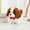 Brown, variant on Interactive Puppy Toy - Realistic Walking & Barking Electronic Pet,Soft Fur Lifelike Dog Toy for Kids,Motion-Activated Sounds,Holiday/Birthday Gift Idea,Batteries Not Included