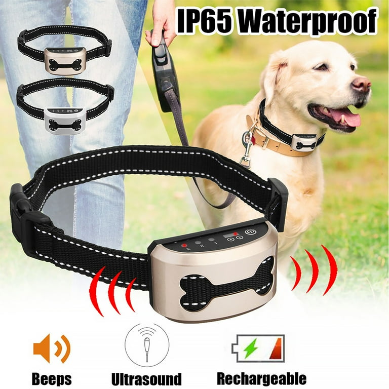 Electric on sale necklace dog