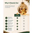 thumbnail image 5 of Glowing Christmas Story Ornament Light-Up Hanging Ball, 3.15 Inch | Warm Light Illuminates the Mini Holiday Scene While the Clear Sphere and Hanging Loop Suit Seasonal Tree Displays, 5 of 7