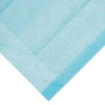 thumbnail image 4 of Dynarex Disposable Underpad Heavy Absorbency Fluff / Polymer 30 X 36" 1348 100 pads, 4 of 4