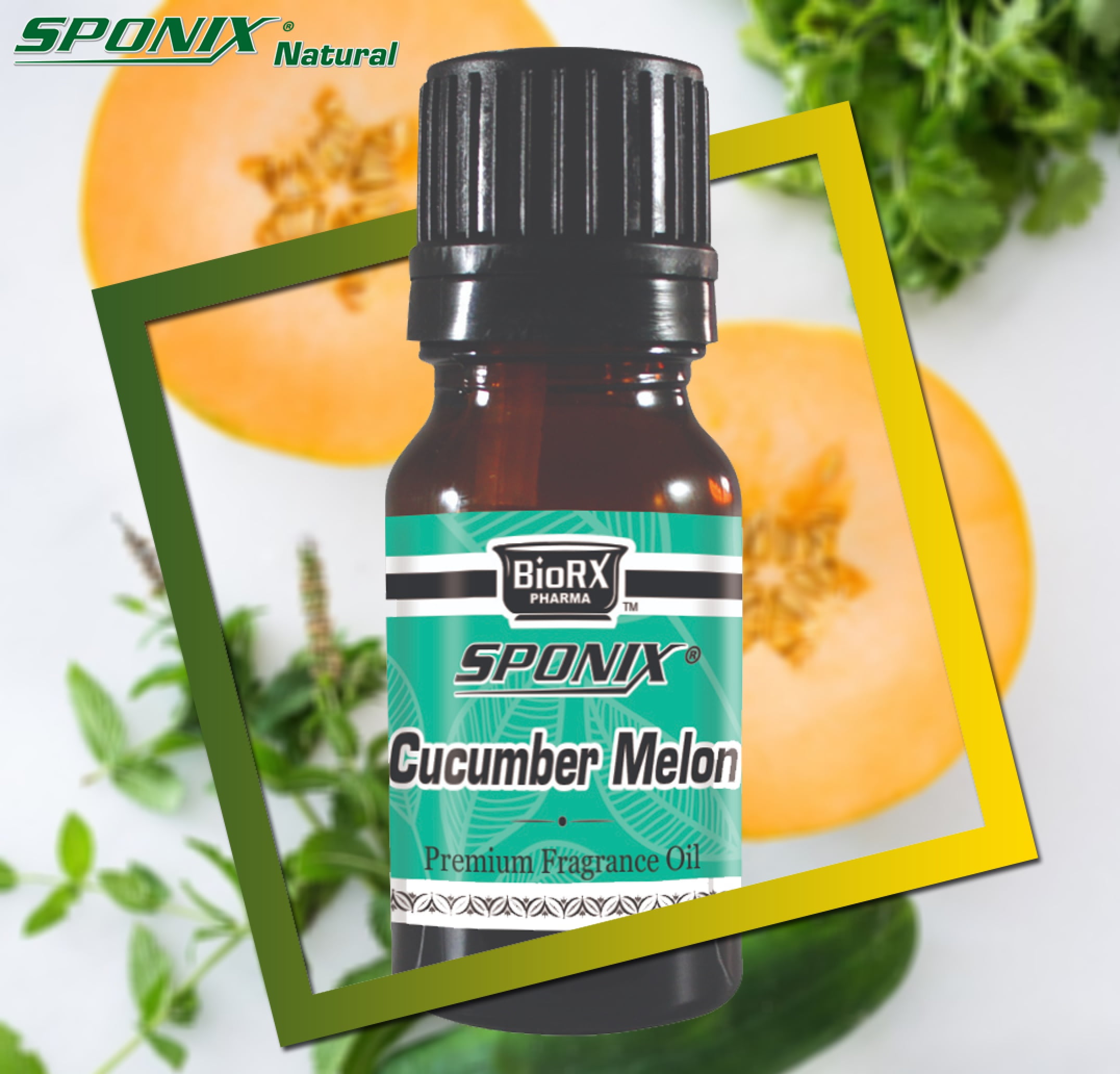 Cucumber Melon Fragrance Oil 10 mL (1/3 Oz) Aromatherapy - 100% Pure  Organic Aromatic Premium Essential Scented Perfume Oil by Sponix Made in  USA 