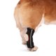 thumbnail image 2 of Ortesis para patas de perro, abrazadera para rodillas de perro, abrazadera para patas de perro, abrazadera para patas, 2 of 4