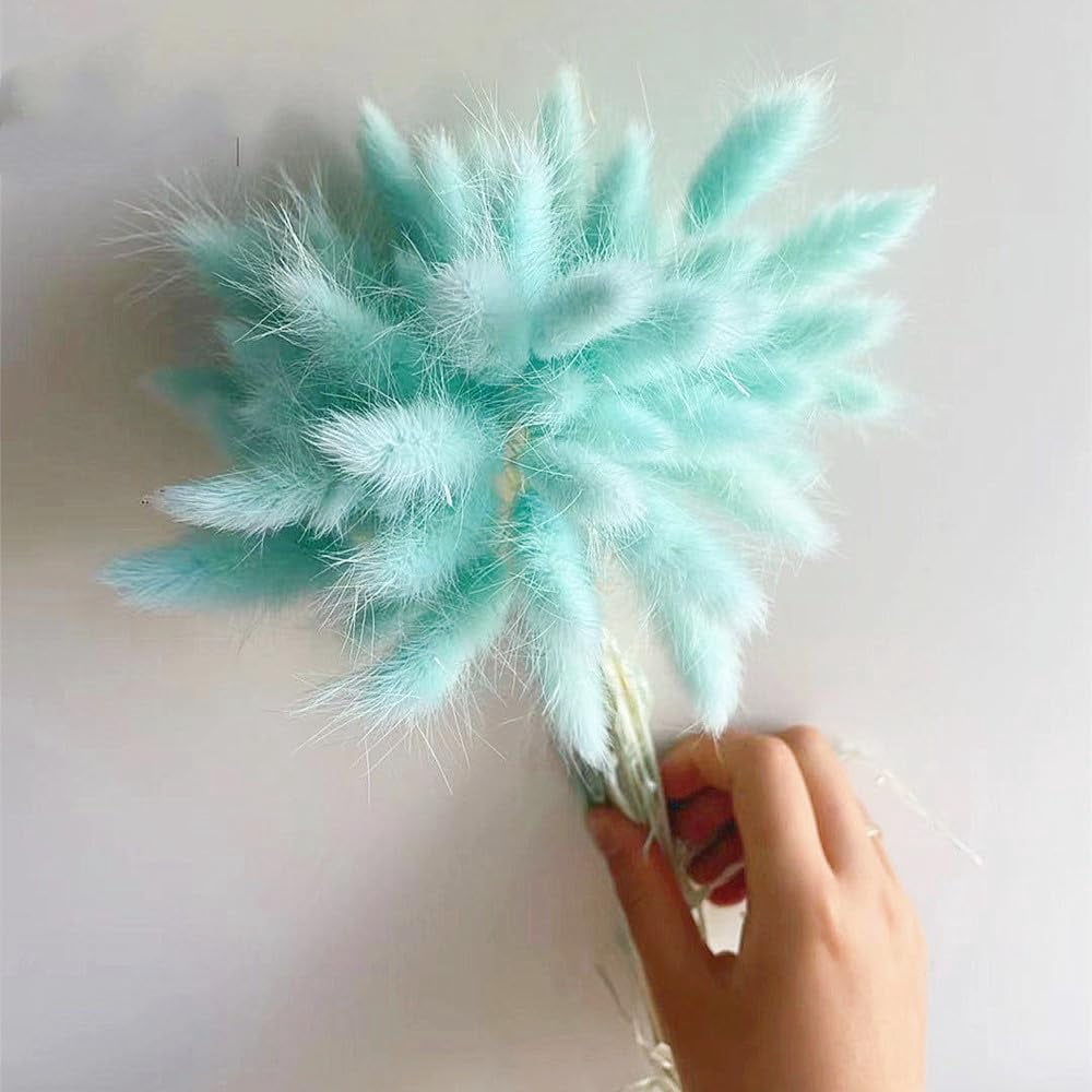 Natural Dried Bunny Tail Grass Real Flower Eternal Flower Lagurus Ovatus Dry Grass Dried Flowers Pampas Grass Bouquet Rabbit Tail Grass Stems forHome Decor and Fall Theme Decorati(7"/White)